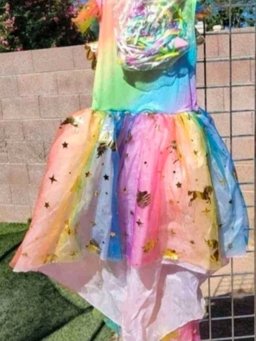 Rainbow Unicorn Girls' Costume Dress with Gold Wings